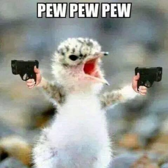 Meet your Posher, Frank - Picture 1 of 1